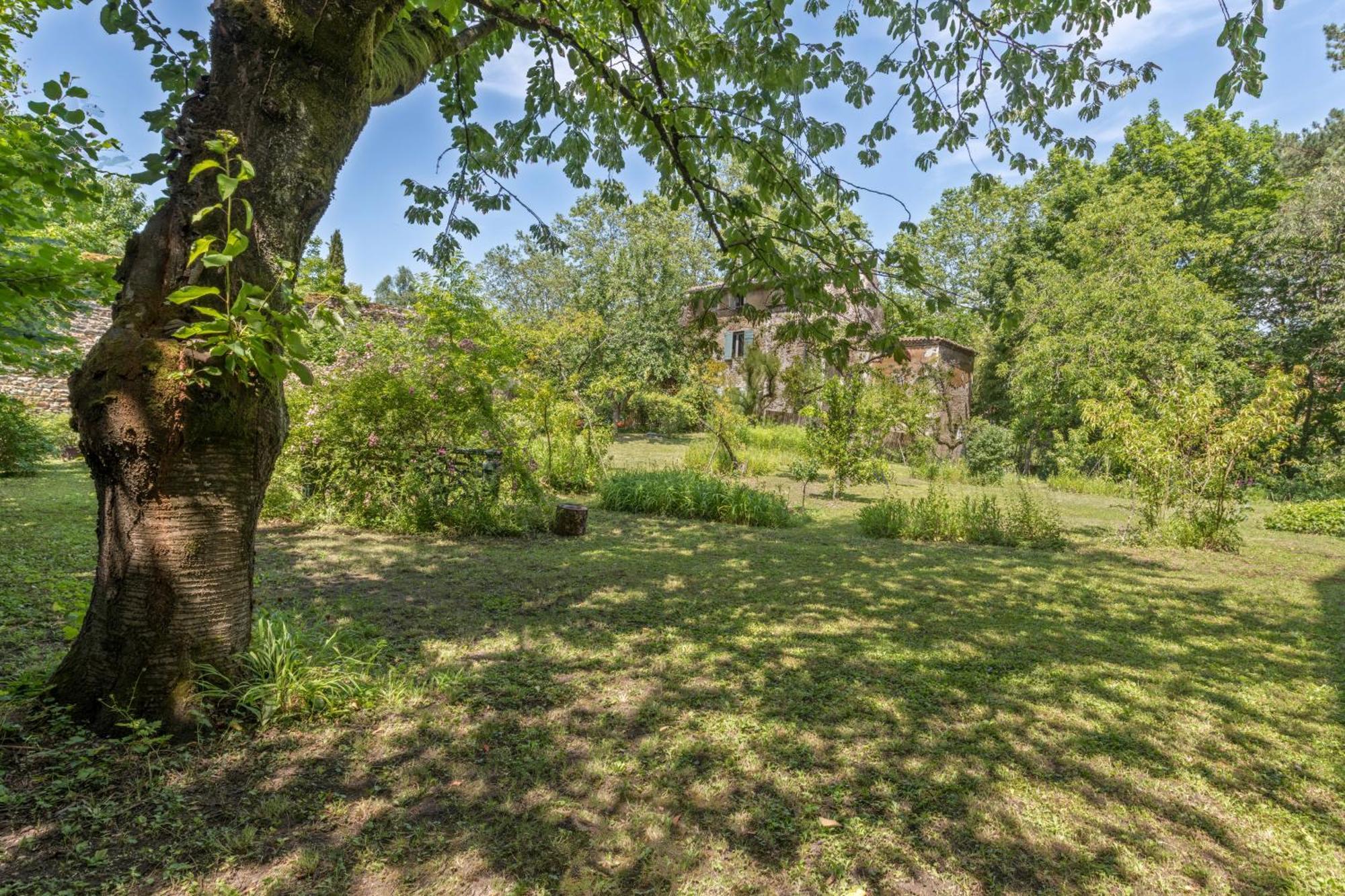 Les Suites De L'Ile Barbe Lyon Kültér fotó